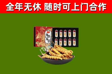 原州区回收冬虫夏草价格